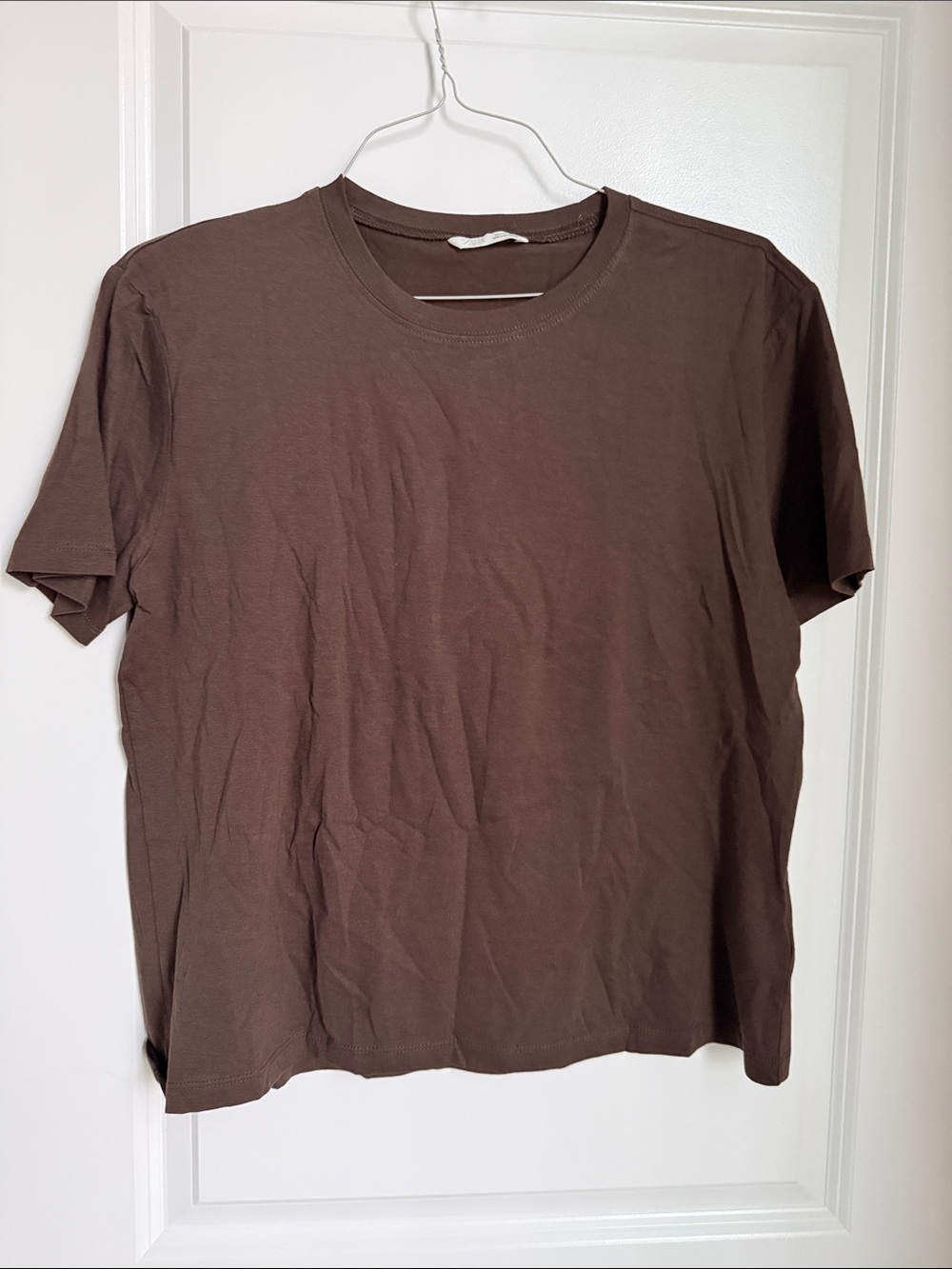 Zara Chocolate Brown Short Sleeve Crewneck Tee